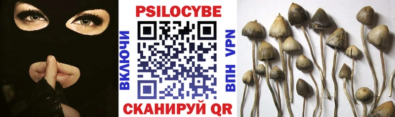 Псилоцибиновые грибы Psilocybine cubensis  купить  сайты  Тольятти 